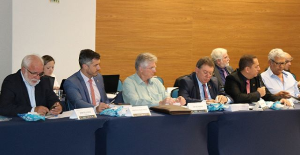 Eng. Capoani, presidente do CREA-RS, está participando do encontro (na foto, quarto a partir da esquerda) 